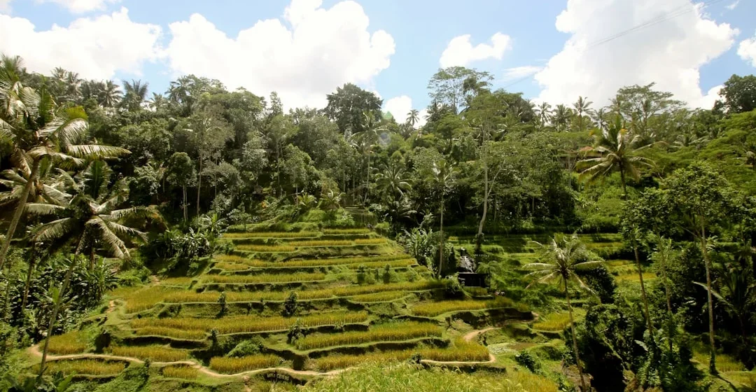 10 spot foto paling instagramable di Ubud