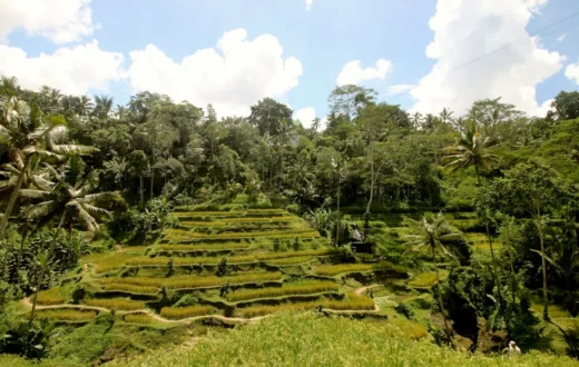 10 spot foto paling instagramable di Ubud