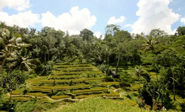 10 spot foto paling instagramable di Ubud