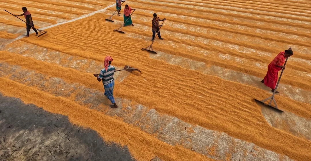 Fakta menarik lonjakan pemain game sandbox setelah update besar
