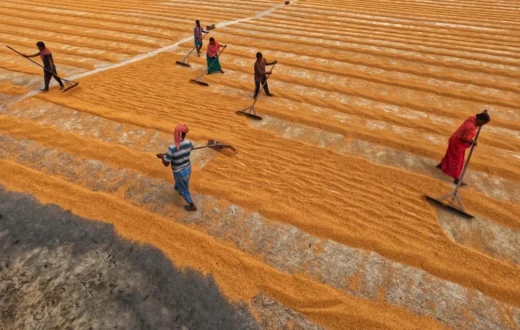 Fakta menarik lonjakan pemain game sandbox setelah update besar