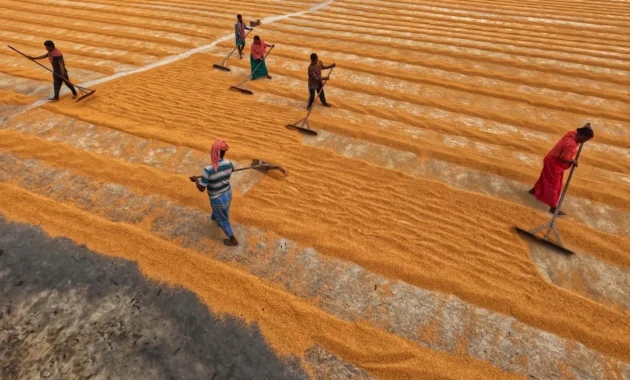 Fakta menarik lonjakan pemain game sandbox setelah update besar